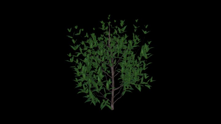 UE项目资源_模型资源_树1319