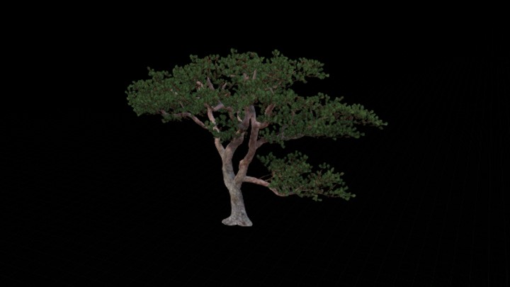 UE项目资源_模型资源_树1329