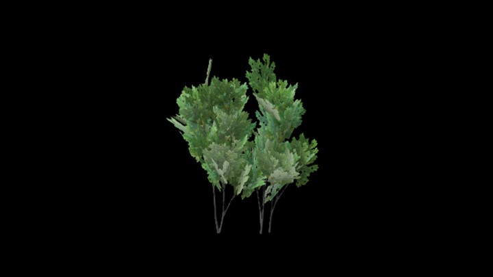 UE项目资源_模型资源_树1343