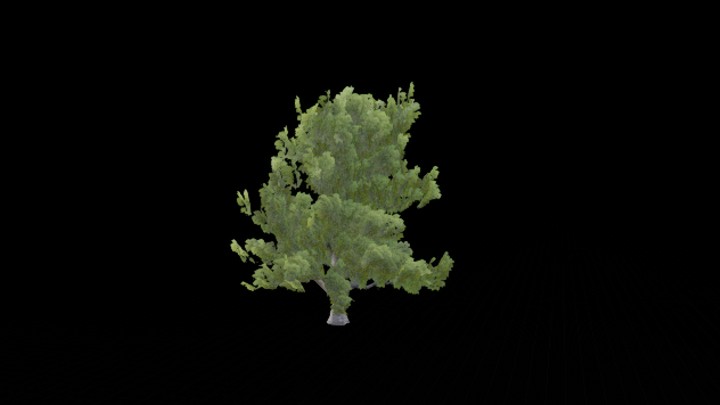 UE项目资源_模型资源_树1351