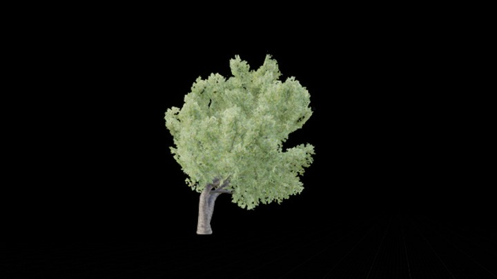 UE项目资源_模型资源_树1353