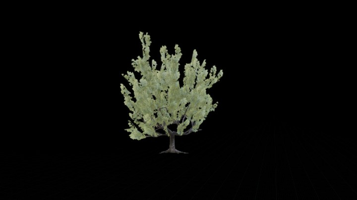 UE项目资源_模型资源_树1357