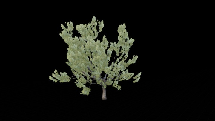 UE项目资源_模型资源_树1358