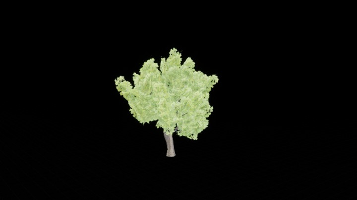 UE项目资源_模型资源_树1359