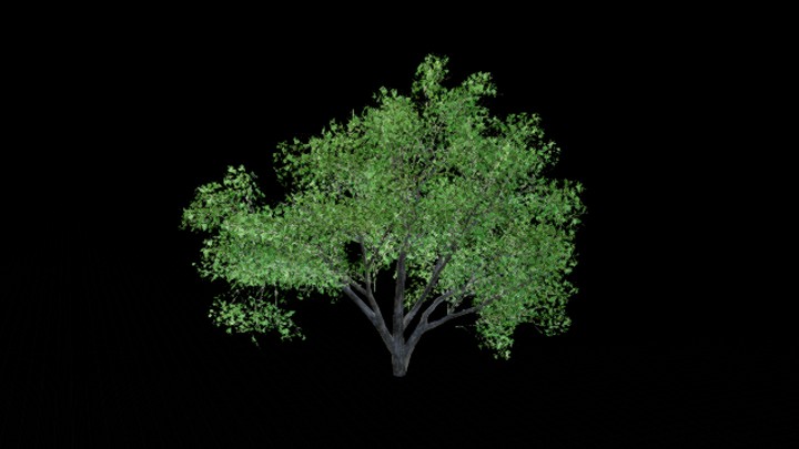 UE项目资源_模型资源_树1380