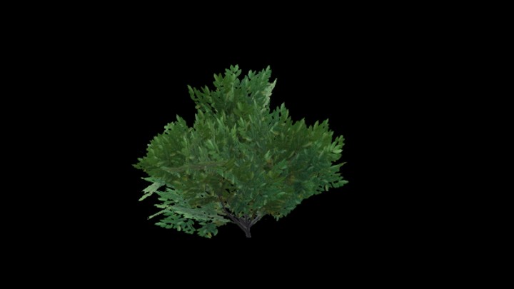 UE项目资源_模型资源_树1398