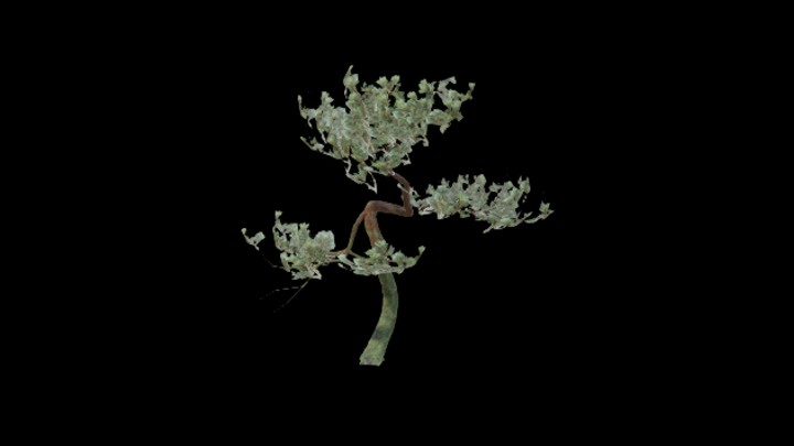 UE项目资源_模型资源_树1429