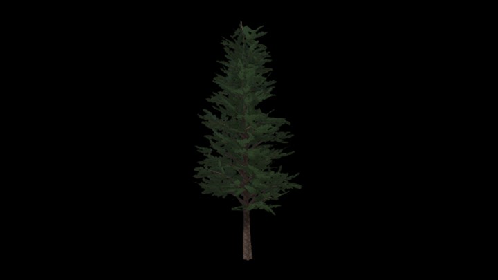 UE项目资源_模型资源_树1443