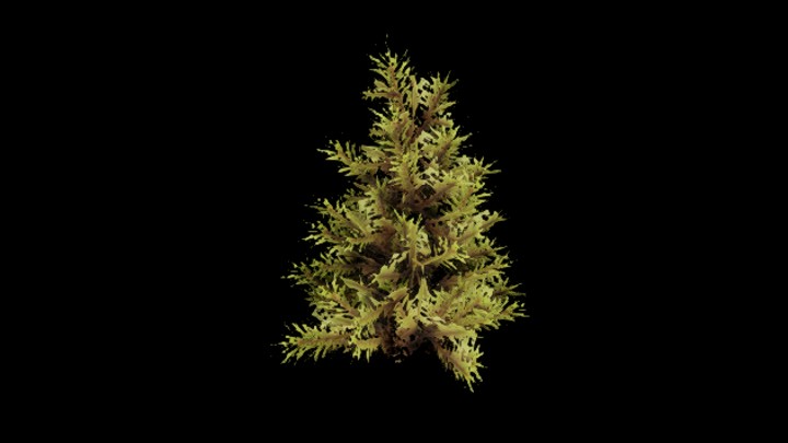 UE项目资源_模型资源_树900