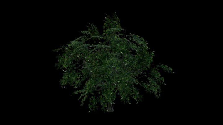 UE项目资源_模型资源_树904