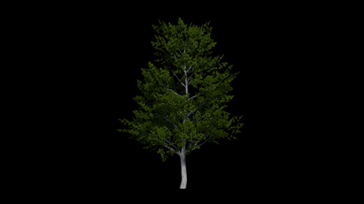 UE项目资源_模型资源_树913