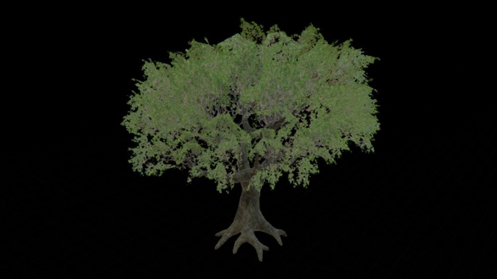 UE项目资源_模型资源_树949