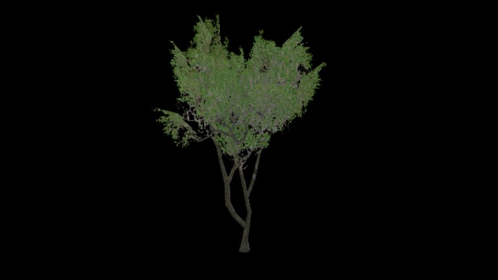 UE项目资源_模型资源_树950