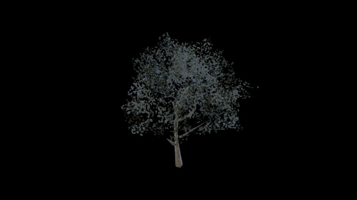 UE项目资源_模型资源_树956