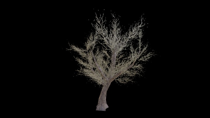 UE项目资源_模型资源_树975