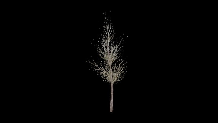 UE项目资源_模型资源_树977