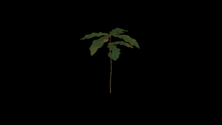 UE项目资源_模型资源_树983