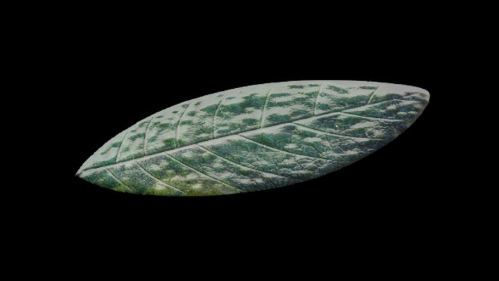 UE项目资源_模型资源_树叶032