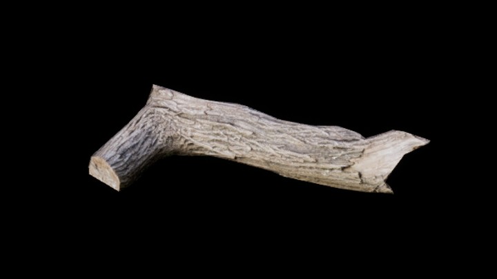 UE项目资源_模型资源_树干112