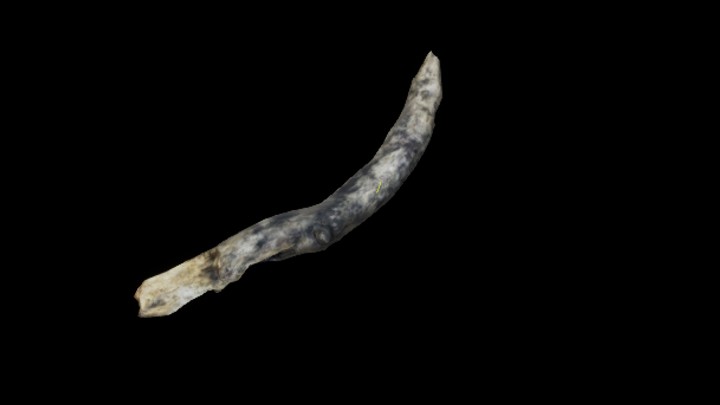 UE项目资源_模型资源_树干129