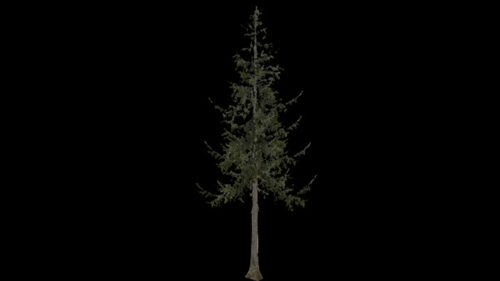 UE项目资源_模型资源_树木050