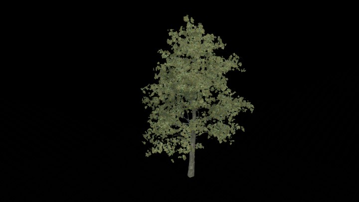 UE项目资源_模型资源_树木091