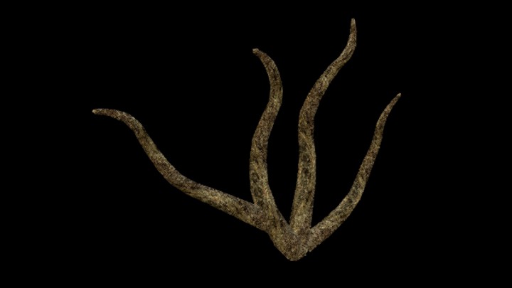 UE项目资源_模型资源_树枝114