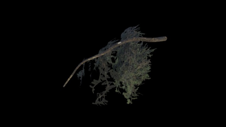 UE项目资源_模型资源_树枝150