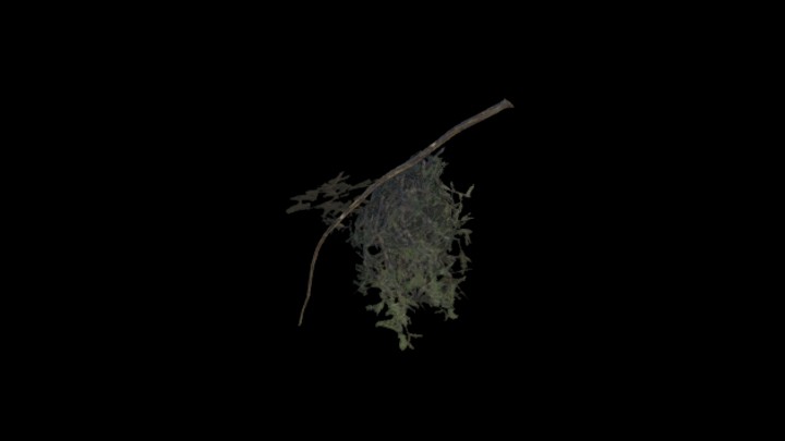 UE项目资源_模型资源_树枝152