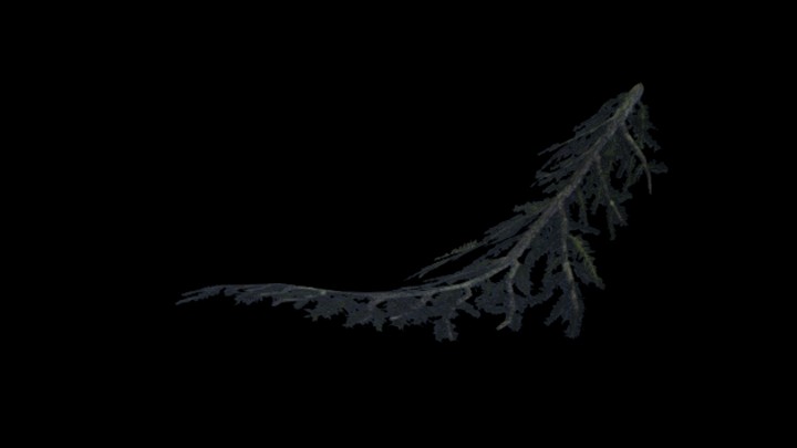 UE项目资源_模型资源_树枝164