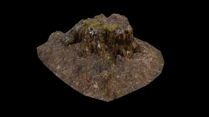 UE项目资源_模型资源_树桩063