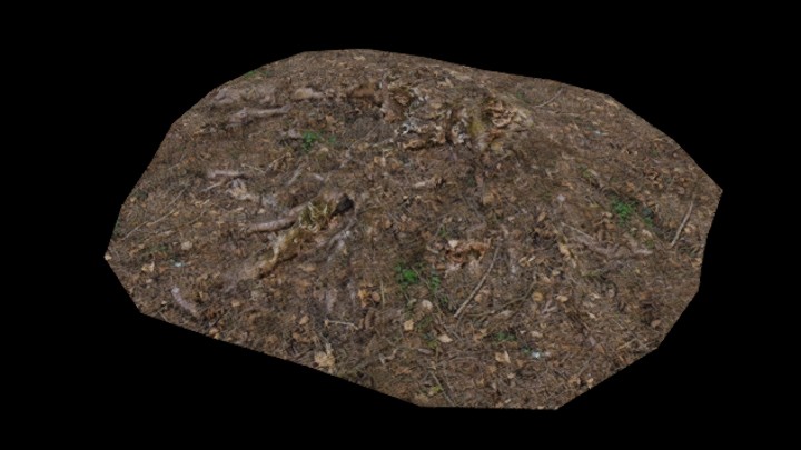 UE项目资源_模型资源_树桩065