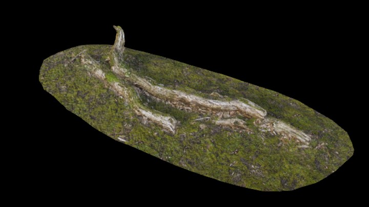 UE项目资源_模型资源_树桩070