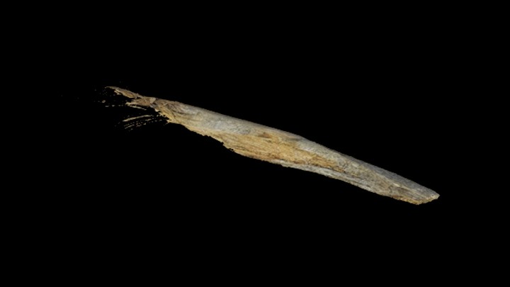 UE项目资源_模型资源_树皮011