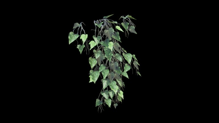 UE项目资源_模型资源_树藤001
