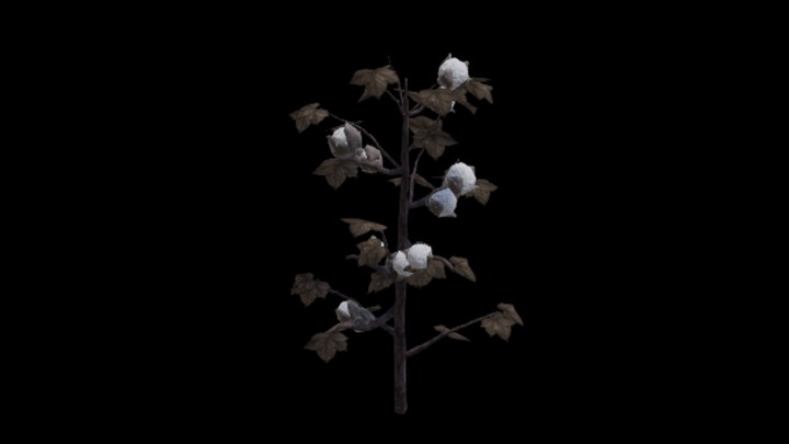 UE项目资源_模型资源_棉花002