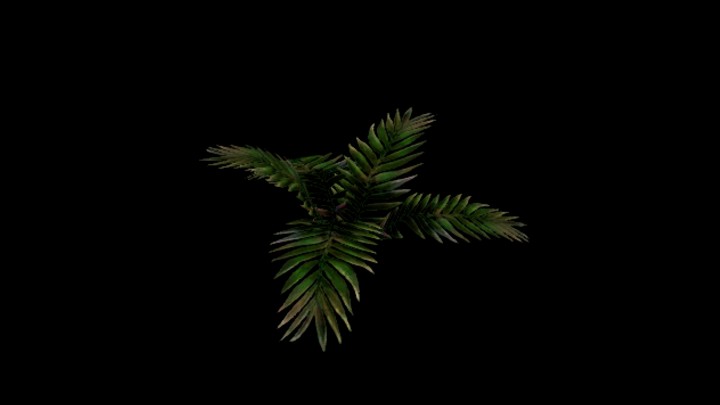 UE项目资源_模型资源_植物1005