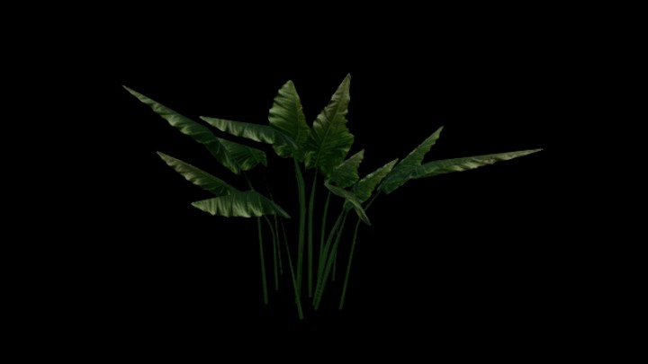 UE项目资源_模型资源_植物1007