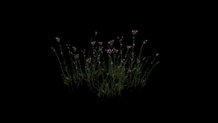 UE项目资源_模型资源_植物1010