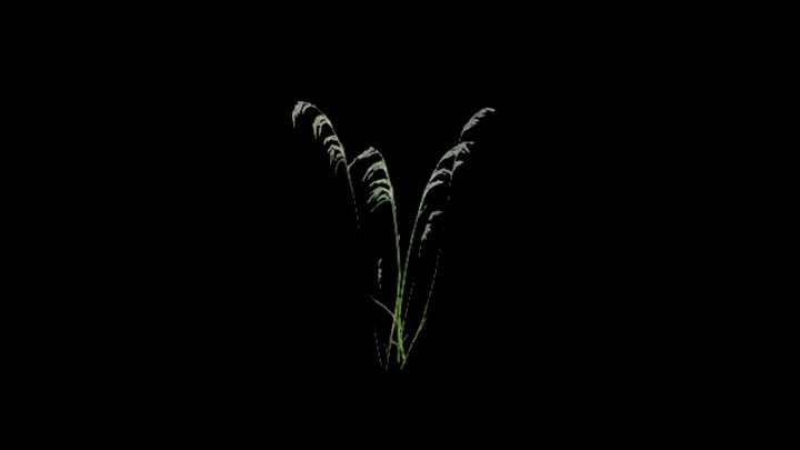 UE项目资源_模型资源_植物1070