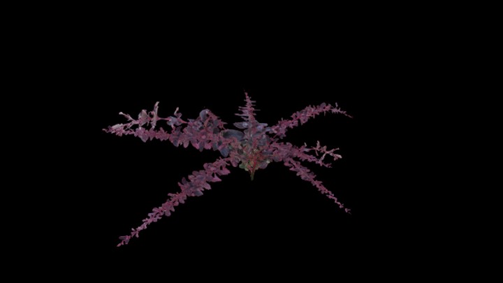 UE项目资源_模型资源_植物1082