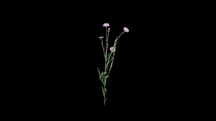 UE项目资源_模型资源_植物1095