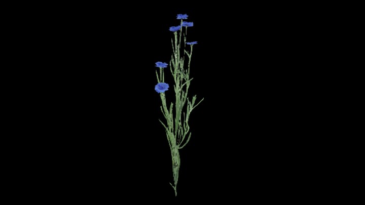 UE项目资源_模型资源_植物1096