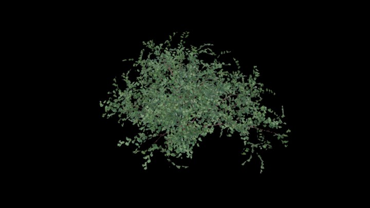 UE项目资源_模型资源_植物1101