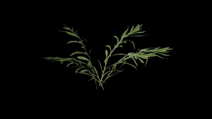 UE项目资源_模型资源_植物1116
