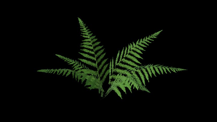 UE项目资源_模型资源_植物1125