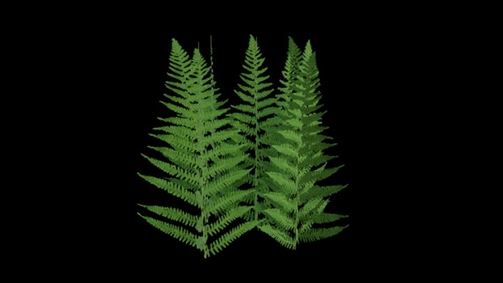 UE项目资源_模型资源_植物1133