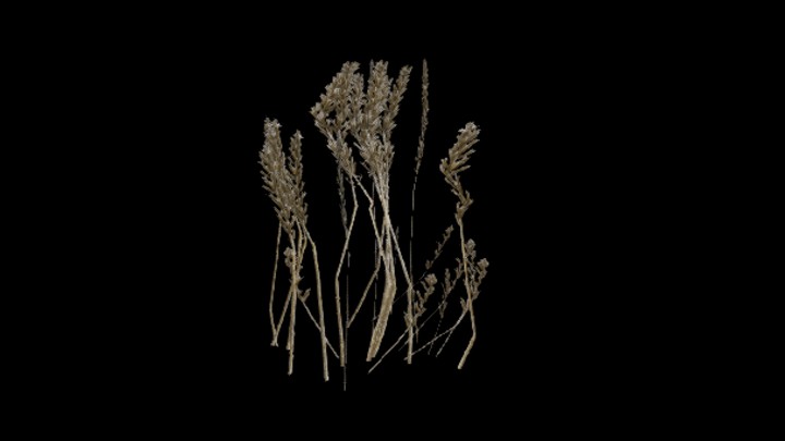 UE项目资源_模型资源_植物1166