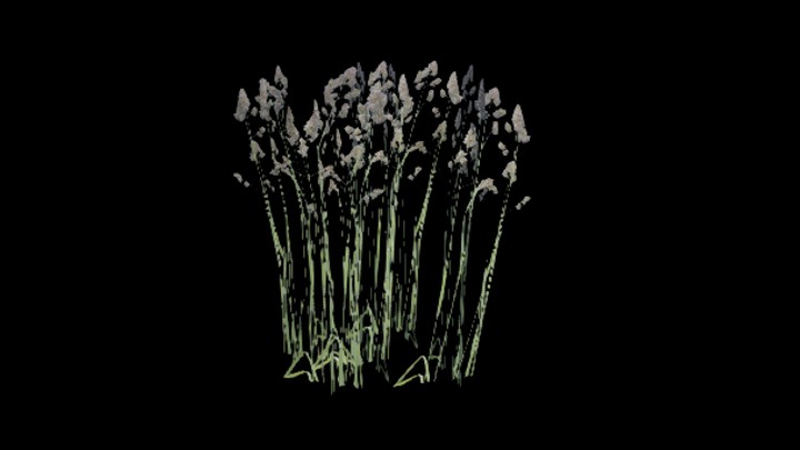 UE项目资源_模型资源_植物1179