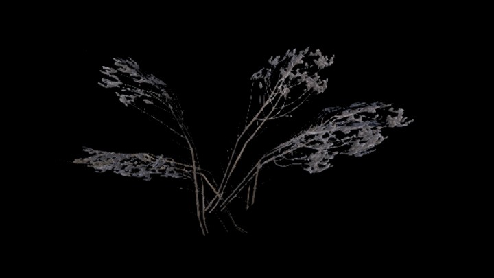 UE项目资源_模型资源_植物1200